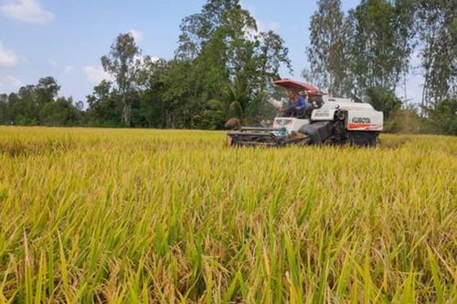 Đồng Tháp: Dư nợ cho vay đạt 95,88% kế hoạch năm 2024 sau 9 tháng