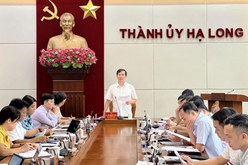 Vì sao Giám đốc ban Quản lý dự án công trình Hạ Long bị đình chỉ công tác?