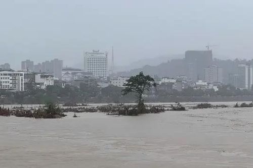 Nước sông Hồng lên cao đột ngột
