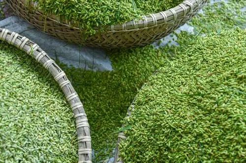 Cốm Mễ Trì: Mỗi hạt cốm, một câu chuyện