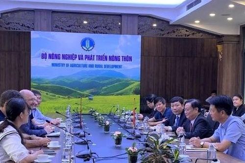Thụy Sĩ hỗ trợ Việt Nam 1,2 triệu USD để khắc phục hậu quả thiên tai