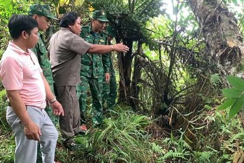 Quảng Nam: Xuất hiện nhiều vết nứt trên đồi, sơ tán khẩn cấp 9 hộ dân