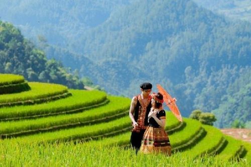 Tất tần tật kinh nghiệm du lịch Mù Cang Chải