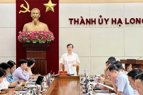 Tạm đình chỉ công tác Giám đốc Ban Quản lý dự án đầu tư xây dựng TP Hạ Long