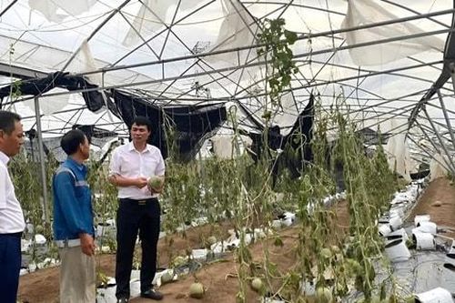 Giảm lãi suất đến 2% hỗ trợ khách hàng ảnh hưởng bão số 3