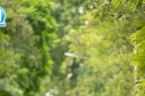 Nhìn lại những khoảnh khắc đẹp trên đường đua chung kết Giải chạy Báo Hànôịmới lần thứ 49