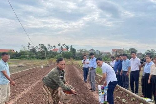 Hỗ trợ giống, vật tư cho nông dân bị thiệt hại do cơn bão số 3
