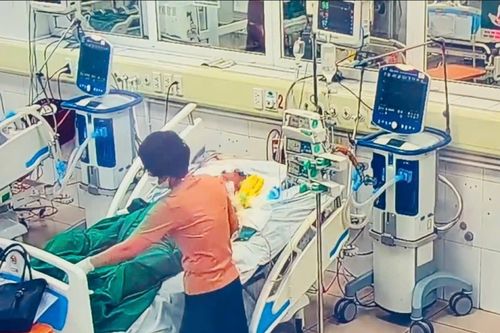 Mắc bệnh xoắn khuẩn vàng da sau mưa lũ