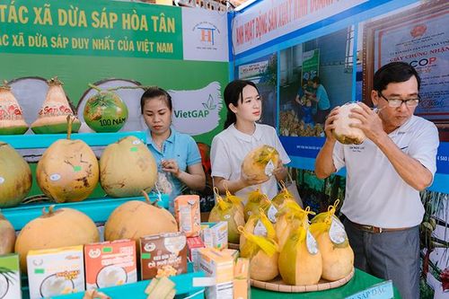 Trường đại học Trà Vinh nghiên cứu thành công giống dừa sáp cấy phôi
