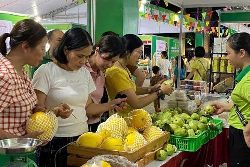 Tuần hàng trái cây, nông sản thu hút người dân Hà Nội