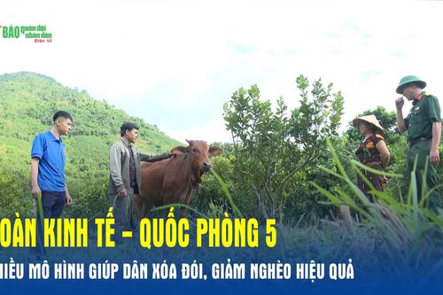 Đoàn Kinh tế - Quốc phòng 5: Nhiều mô hình giúp dân xóa đói, giảm nghèo hiệu quả