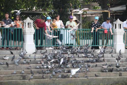 Những hạt cơm thừa