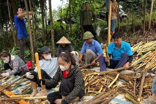Nan giải tìm vốn, quỹ đất để di dời dân