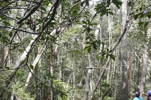 Phú Yên không để dự án thủy điện ảnh hưởng đến môi trường