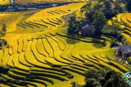 Khám phá Việt Nam: Ngắm tuyệt tác ruộng bậc thang ở Lai Châu