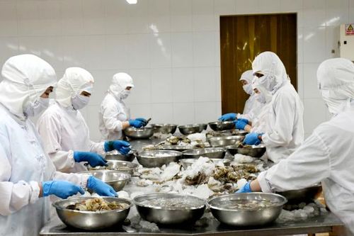 Cà Mau: Tổ chức để đoàn doanh nghiệp quốc tế vào khảo sát thị trường, kết nối giao thương
