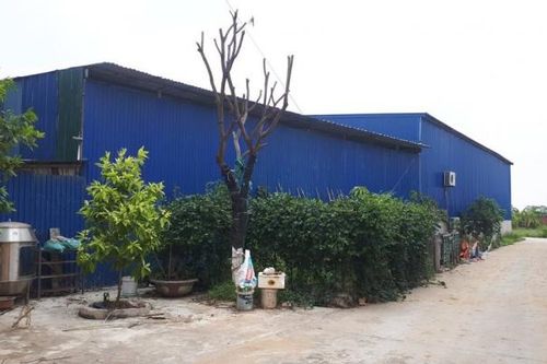 Bắc Ninh: Có gần 9.500 lô đất giao không đúng thẩm quyền tại huyện Yên Phong