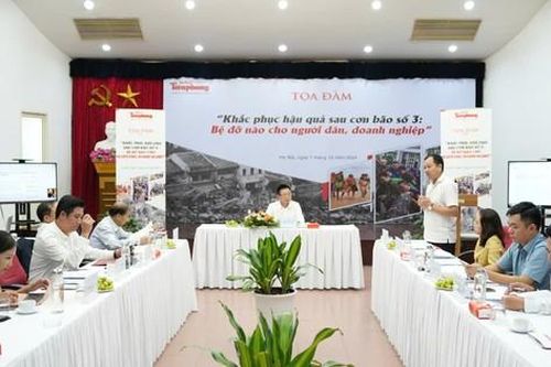 Khắc phục hậu quả bão số 3: Tìm bệ đỡ cho người dân, doanh nghiệp