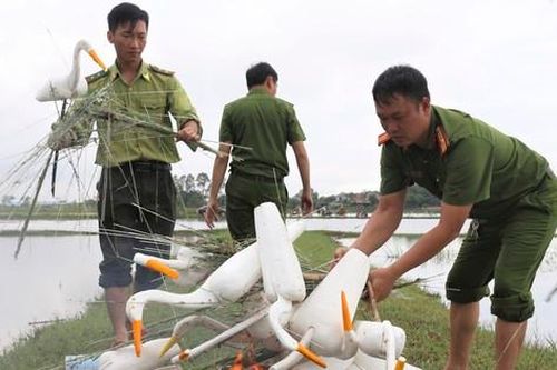 Lội ruộng, leo cây tháo dỡ 'ma trận' bẫy chim trời ở Hà Tĩnh