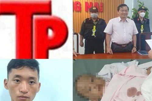 Bản tin Hình sự: Khởi tố đối tượng hất đổ bàn làm việc của đoàn kiểm tra liên ngành