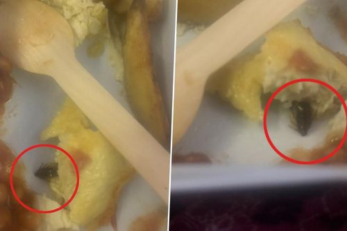 Nữ hành khách 'tá hỏa' phát hiện gián trong đồ ăn trên máy bay