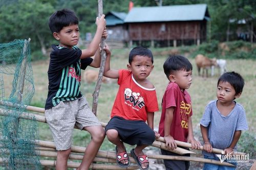 Tổ chức lớp đào tạo nghề cho hàng trăm lao động nông thôn