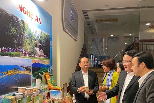Thành phố Hồ Chí Minh hợp tác phát triển với 9 địa phương phía Bắc và Bắc Trung Bộ