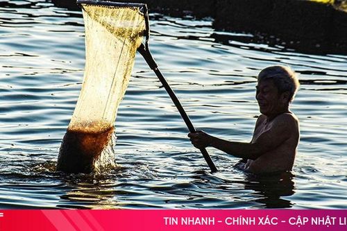 Ngư dân Cẩm Nhượng háo hức khai thác ruốc biển