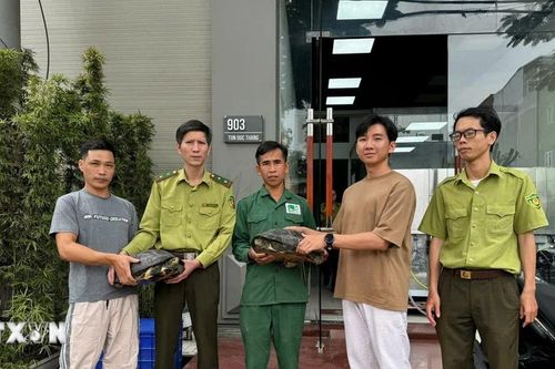 Vườn Quốc gia Cúc Phương tiếp nhận nhiều cá thể động vật nguy cấp, quý hiếm