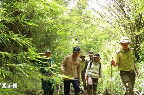 Phát huy sức dân trong quản lý bảo vệ rừng tại Vườn Quốc gia Yok Đôn
