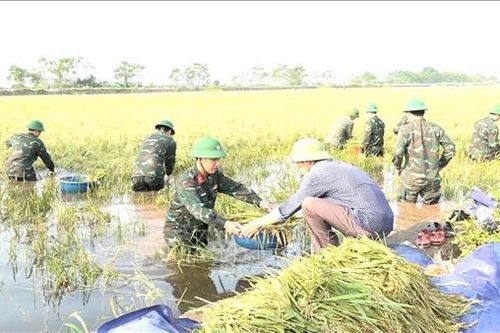 Lên kế hoạch phục hồi sản xuất sau bão lũ theo hướng linh hoạt, an toàn