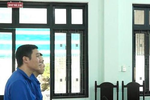 Mua bán trái phép số lượng lớn ma túy, cậu 'dắt' cháu vào...tù