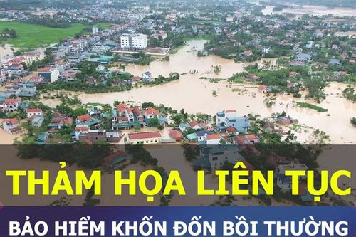 Góc nhìn chuyên gia: Thảm họa liên tục, bảo hiểm khốn đốn bồi thường