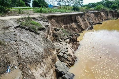 Cận cảnh tuyến kè đê sông Mã bị sạt lở nghiêm trọng
