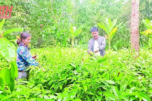 Xây dựng đội ngũ cán bộ cơ sở là người dân tộc thiểu số (Bài cuối): 'Coi trọng chất lượng hơn số lượng'
