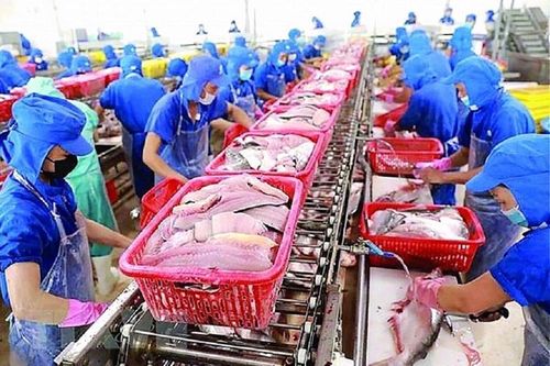 5 năm thực thi CPTPP: Nhiều tiềm năng chưa được khai thác hết