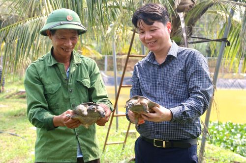 Phú Thọ có 'Nông dân Việt Nam xuất sắc' năm 2024
