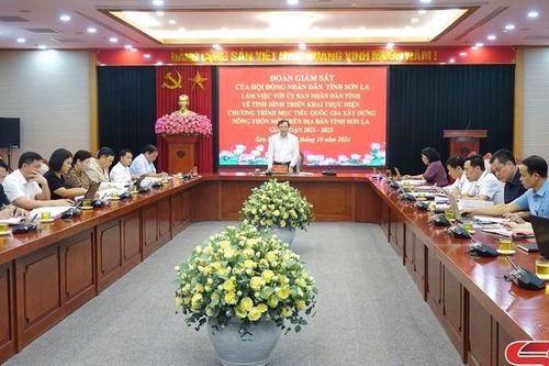 Giám sát việc thực hiện chương trình xây dựng nông thôn mới