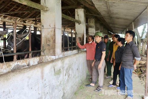 Bàn giao con giống cho hộ nghèo xã Đội Bình và Hoàng Khai