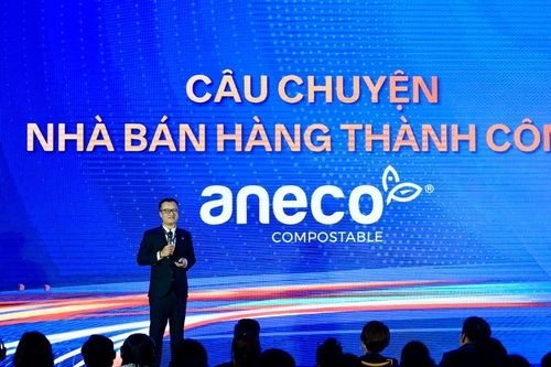 Chủ tịch Nhựa An Phát Xanh (AAA) được đề cử vào HĐQT An Phát Holdings (APH)