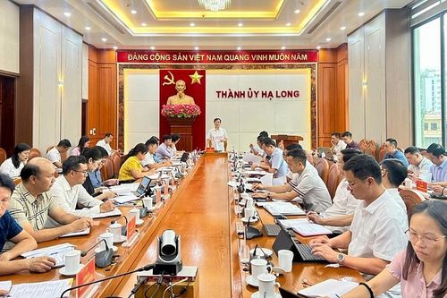 Giám đốc Ban Quản lý dự án đầu tư xây dựng thành phố Hạ Long bị tạm đình chỉ công tác