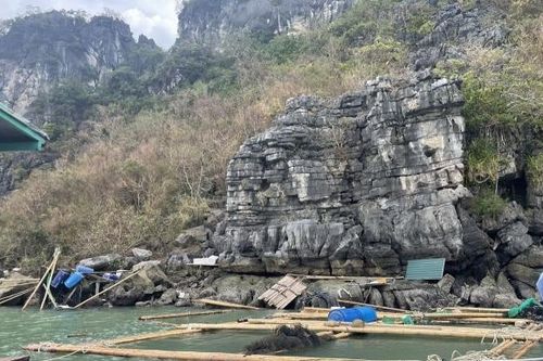 Quảng Ninh: Tìm giải pháp tháo gỡ khó khăn cho người nuôi trồng thủy sản tại Vân Đồn