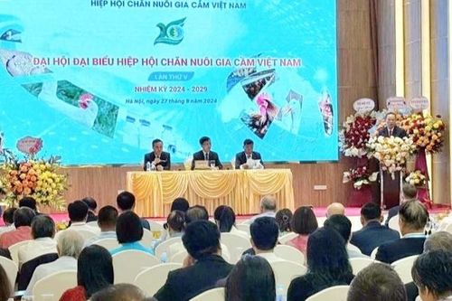 Kết nối hiệu quả giữa nhà chăn nuôi và doanh nghiệp