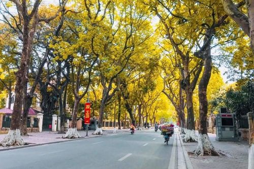 Cảm xúc tháng 10