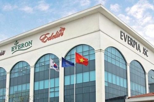 CTCP Everpia (EVE) thu hẹp hoạt động sản xuất kinh doanh ngành hàng khăn, dự kiến lỗ trong Quý III/2024