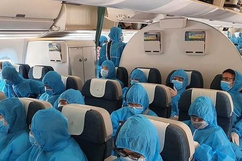 Vụ 'chuyến bay giải cứu' giai đoạn 2: Những cá nhân nào nhận tiền hối lộ?