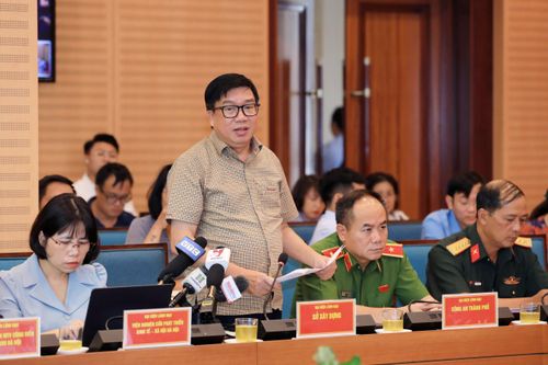 Sở Xây dựng Hà Nội nói về việc cây xanh trồng để nguyên bầu bị đổ trong mưa bão
