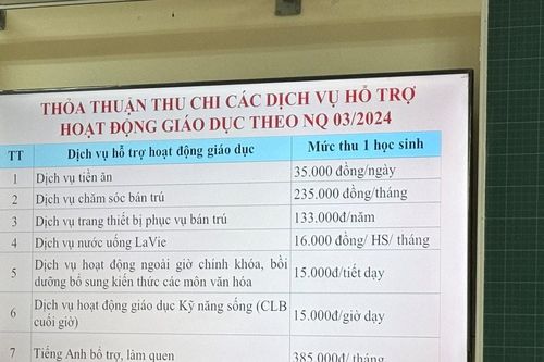 Xã hội hóa giáo dục: Bao nhiêu là đủ?