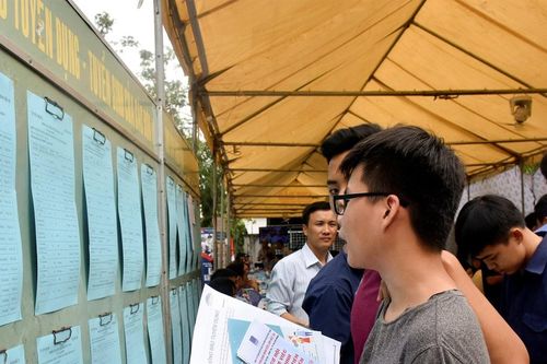 Thị trường lao động TP HCM khởi sắc dịp cuối năm