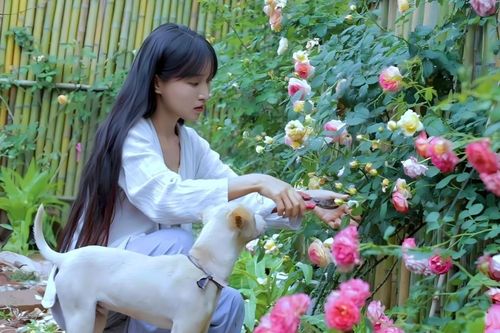 Giới trẻ Trung Quốc đổ xô về quê 'nghỉ hưu'